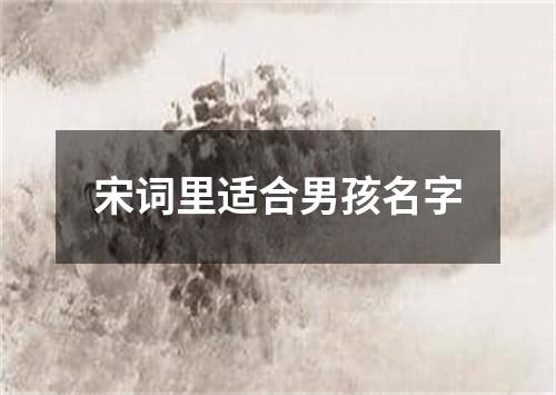 宋詞里適合男孩名字